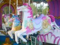 Carousel Horse Ride