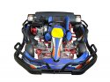 Electric Go kart