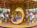 Luxury Carousel Ride