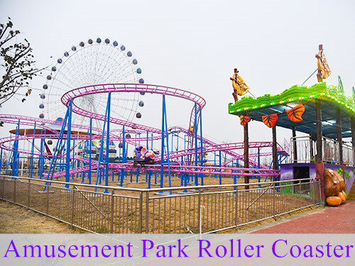 Amusement Park Roller Coaster