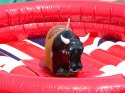 Small Mechanical Bull