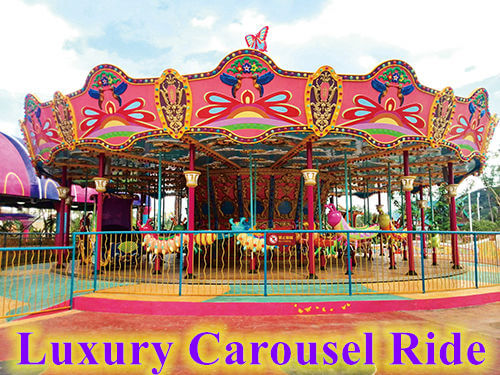 Luxury Carousel Ride