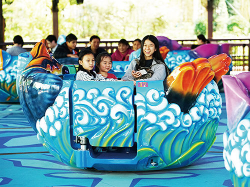 Various Spinning Teacups Ride | Amusement Park Ride for Sale