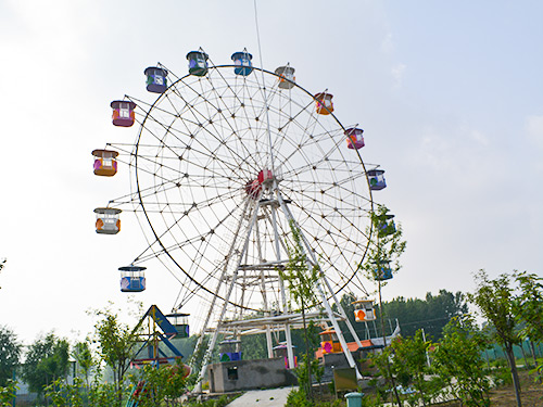 Giant Ferris Wheel