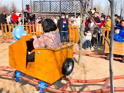 kids car roller coaster cost