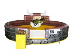 Kids Mechanical Bull