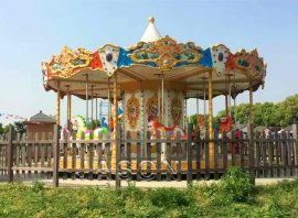 What is Amusement Park Carnival Carousel Rides