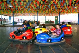 Bumper Cars - One of the Most Popular Amusement Park Rides